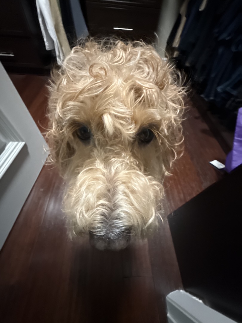 DO NOT BATH